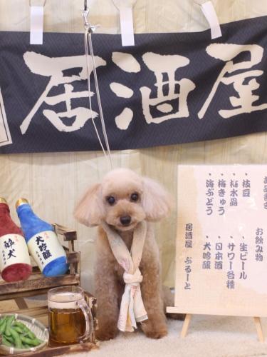 20240627うたちゃん